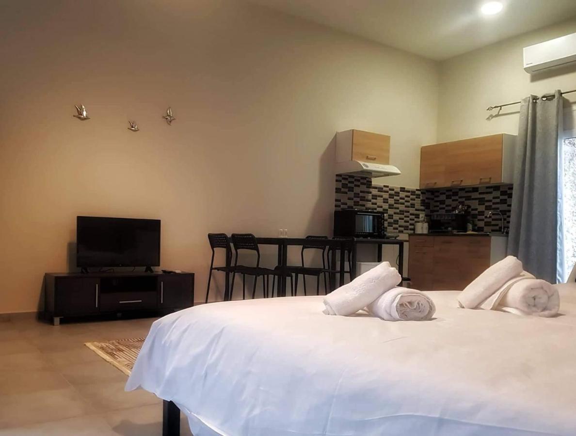 Апартаменти Meteora House- Cozy Living Каламбака Екстер'єр фото